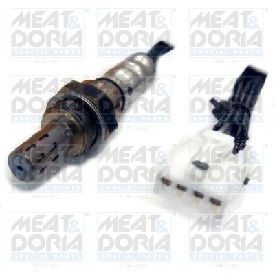 Oxygen Sensor